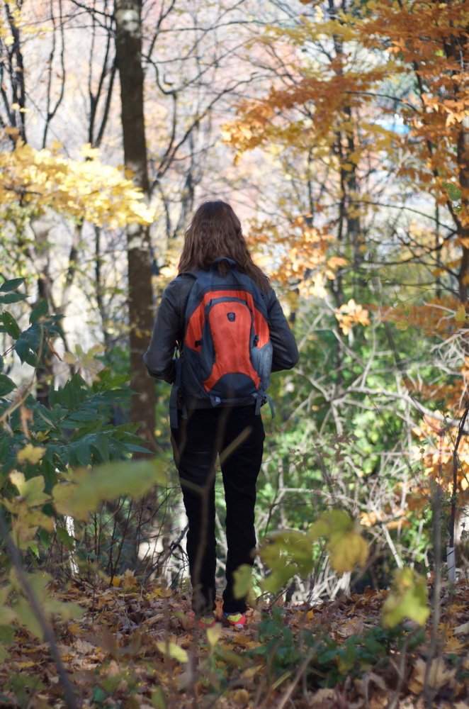 Person's back facing the lens while deep in the forest